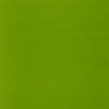 Arctic Frog - Flip Flop Green 12x12 cardstock  (pack of 10)